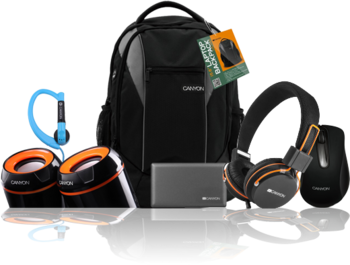 لوازم جانبی